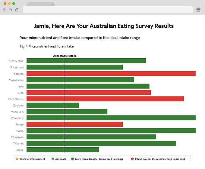 Aes Report Micronutrients